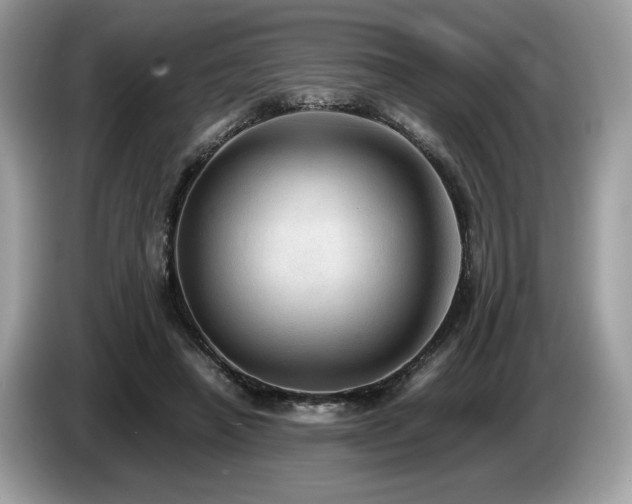X0000087560450200704271229