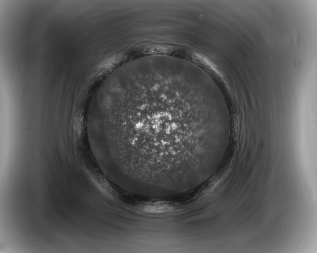 X0000087560451200704271229