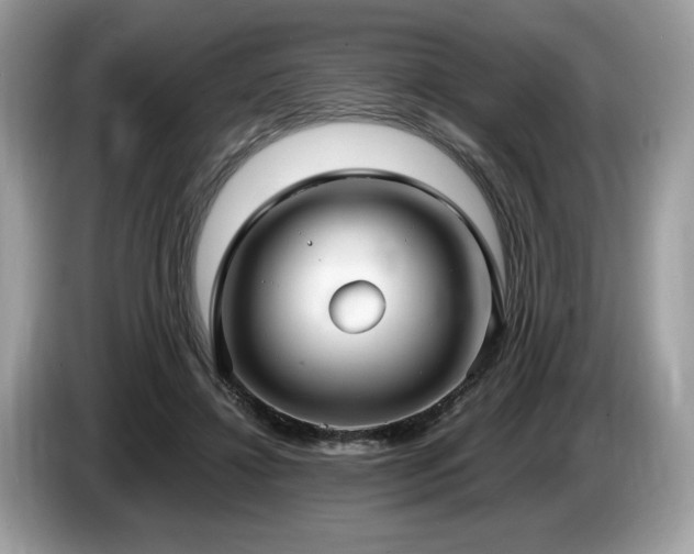 X0000087560452200704271229