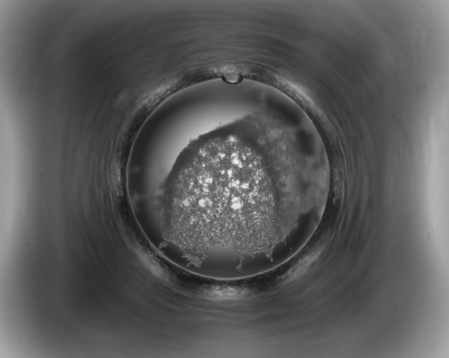 X0000087560453200704271229