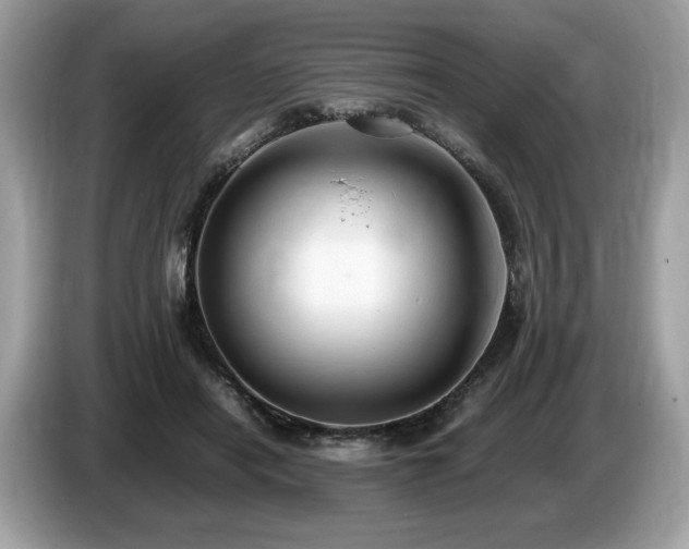 X0000087560454200704271229