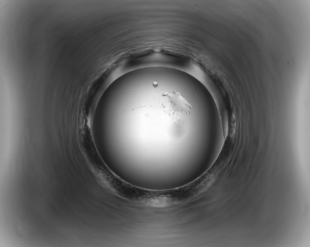 X0000087560456200704271229