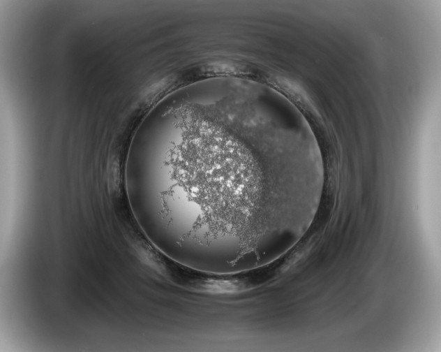 X0000087560457200704271229