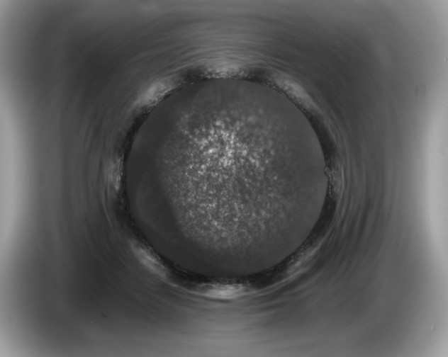 X0000087560458200704271229