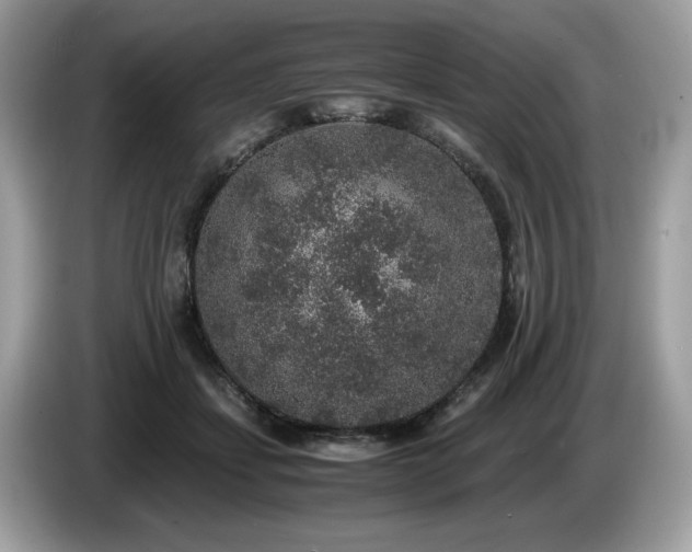 X0000087560459200704271229