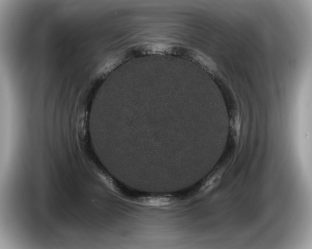 X0000087560462200704271229