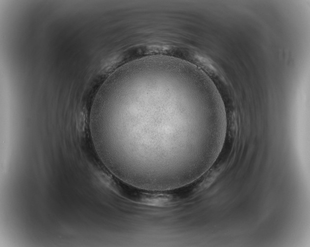 X0000087560463200704271229