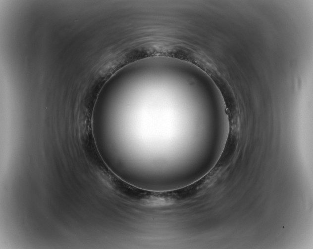 X0000087560464200704271229