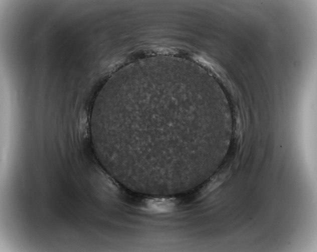 X0000087560465200704271229