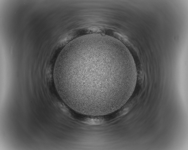 X0000087560466200704271229