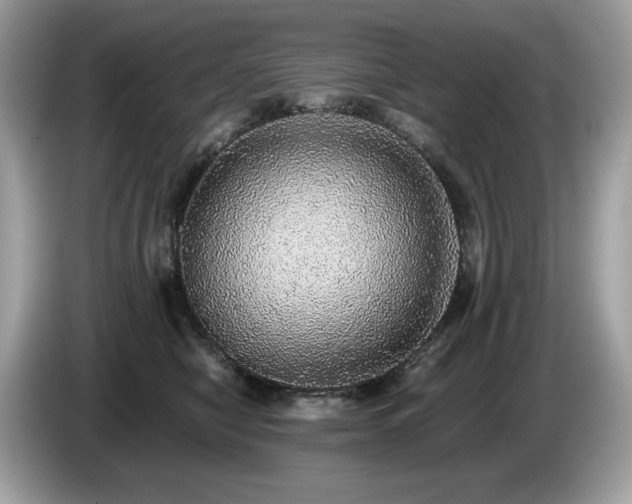 X0000087560470200704271229