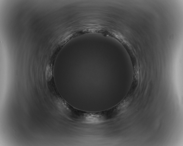 X0000087560471200704271229