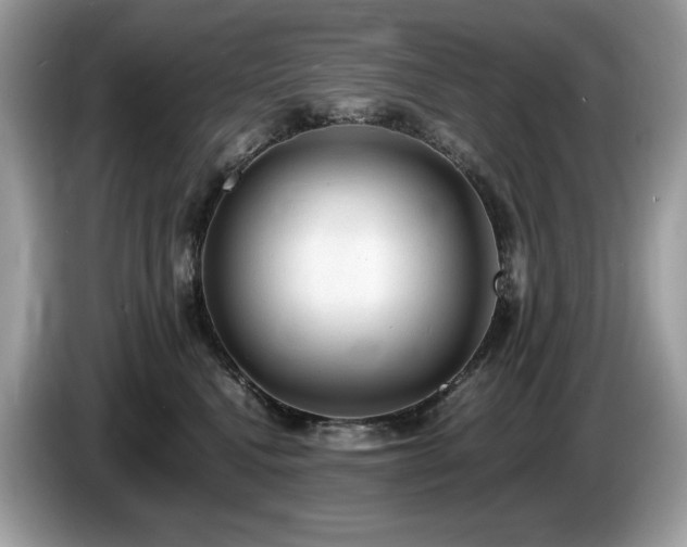 X0000087560472200704271229