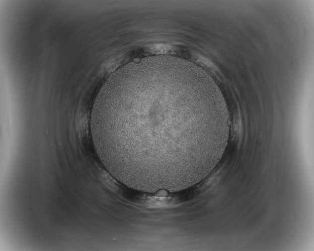 X0000087560473200704271229