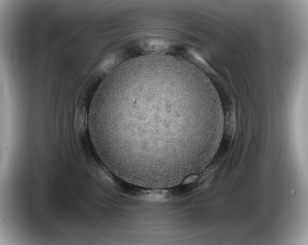 X0000087560474200704271229