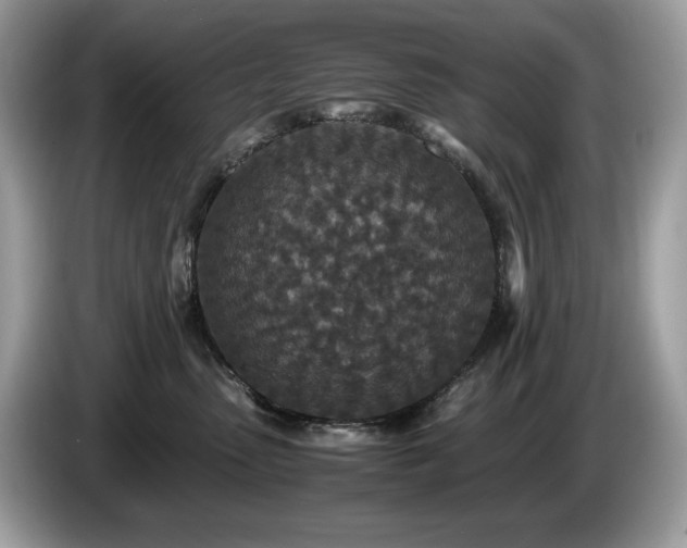 X0000087560475200704271229