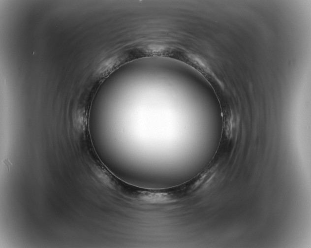 X0000087560476200704271229