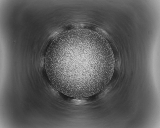X0000087560477200704271229