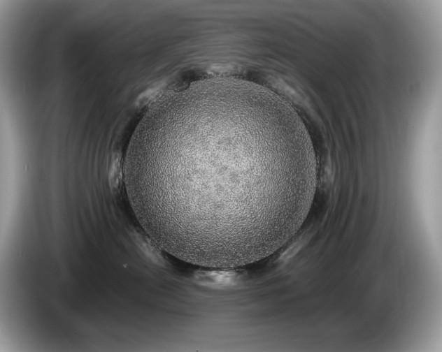 X0000087560478200704271229