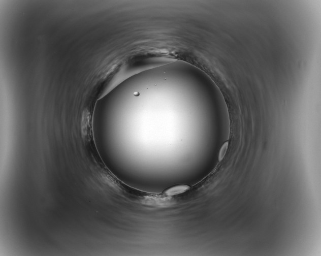X0000087560480200704271229