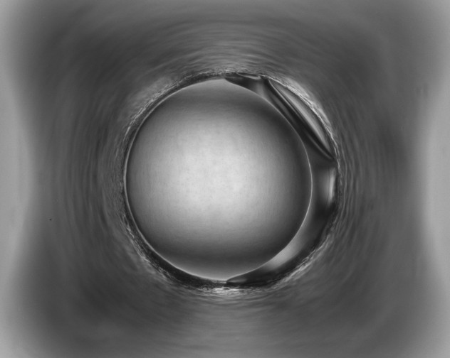 X0000087560481200704271229
