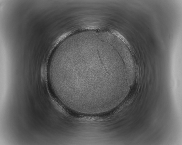 X0000087560482200704271229
