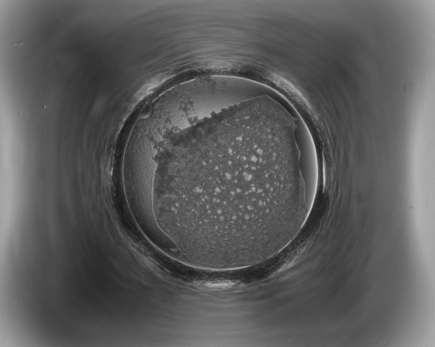 X0000087560483200704271229