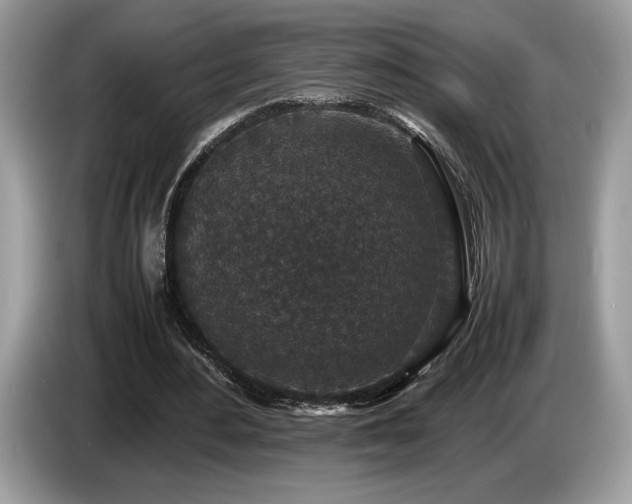 X0000087560484200704271229