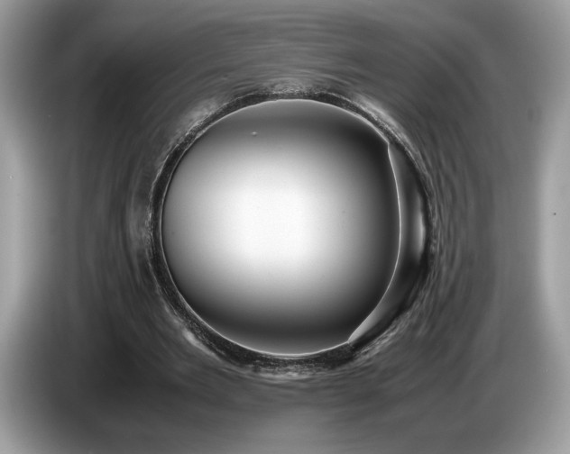 X0000087560485200704271229