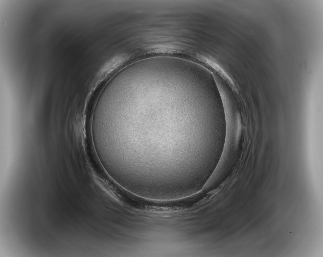 X0000087560486200704271229