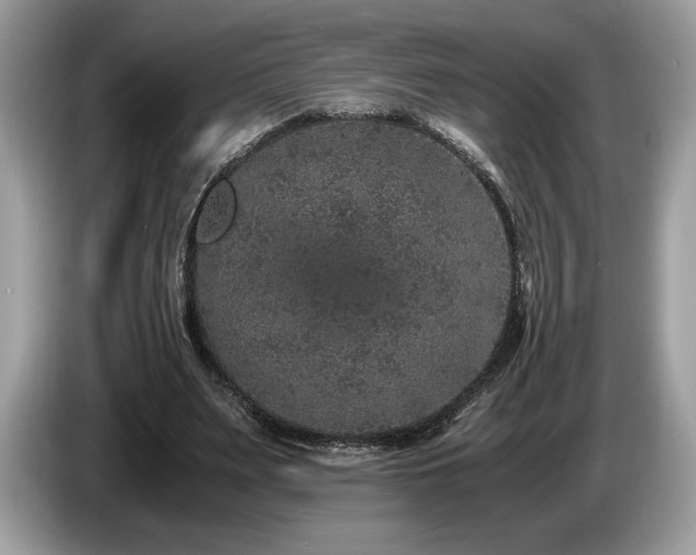 X0000087560487200704271229