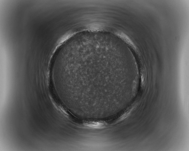 X0000087560488200704271229