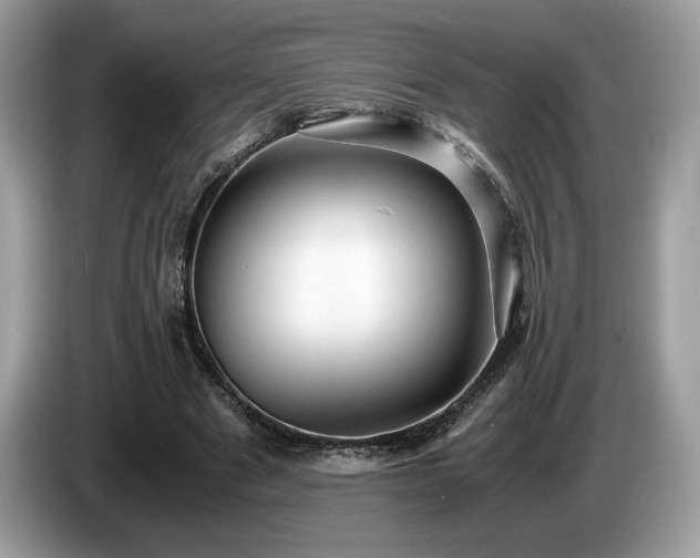 X0000087560489200704271229