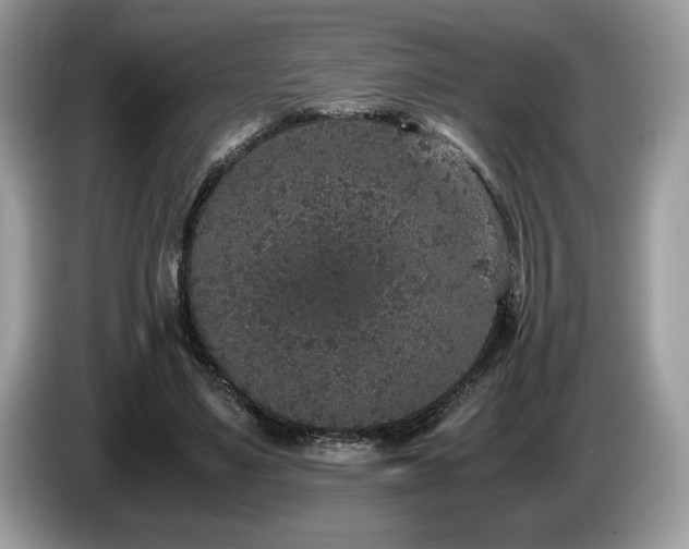 X0000087560491200704271229
