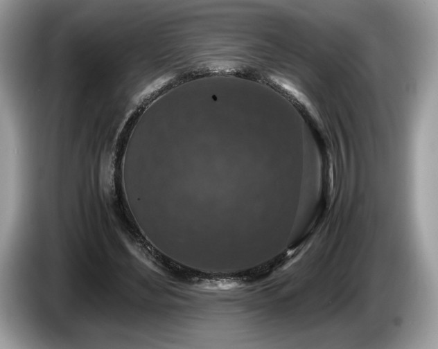 X0000087560492200704271229