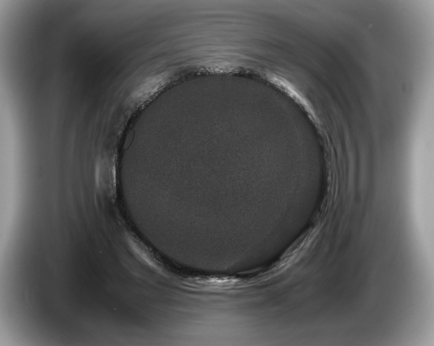 X0000087560493200704271229