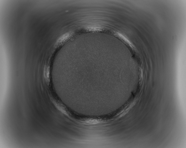X0000087560494200704271229