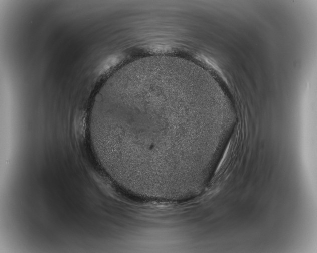 X0000087560495200704271229