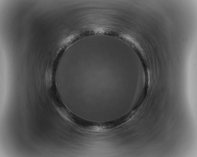 X0000087560496200704271228