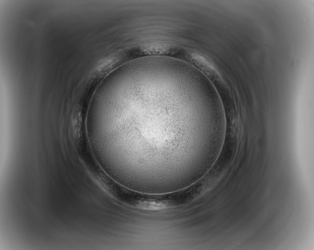 X0000087560498200704271228
