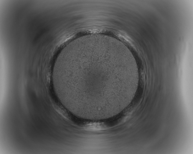 X0000087560499200704271228