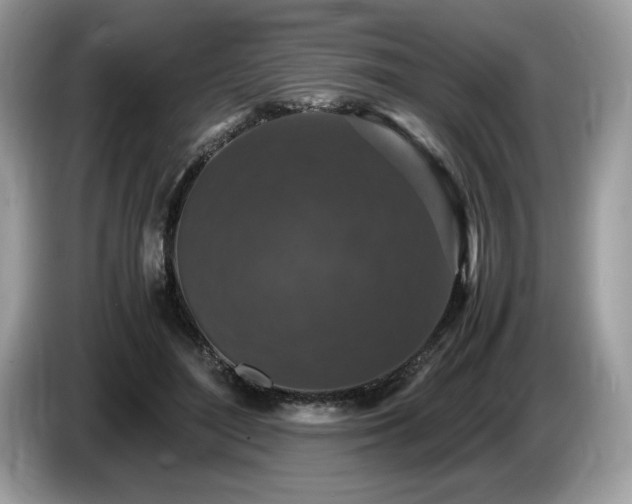 X0000087560500200704271228
