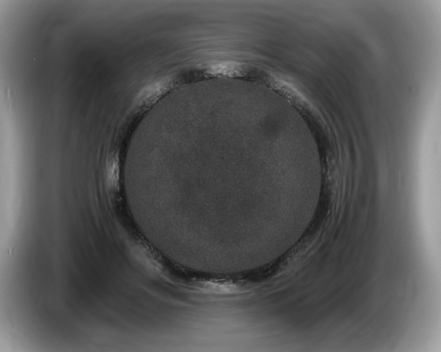 X0000087560502200704271228