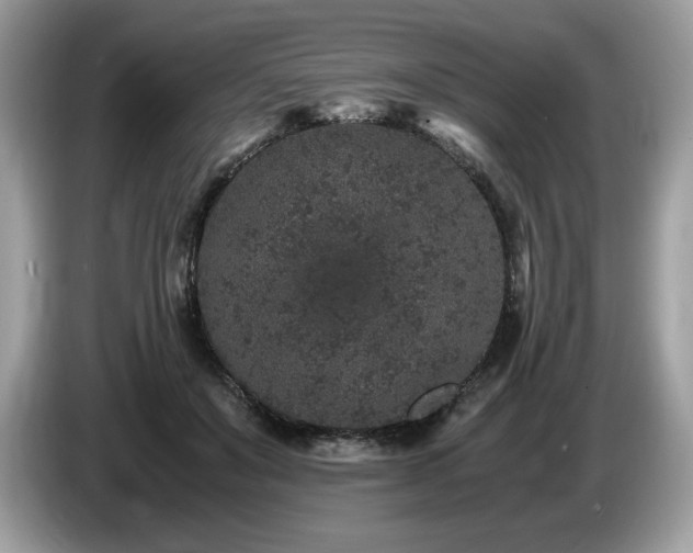 X0000087560503200704271228