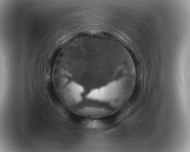 X0000087560507200704271228