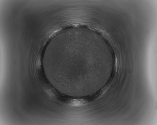 X0000087560508200704271228