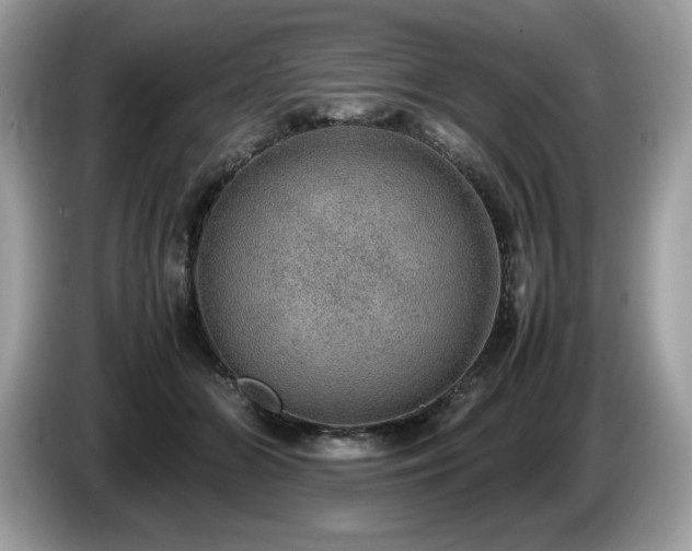 X0000087560510200704271228