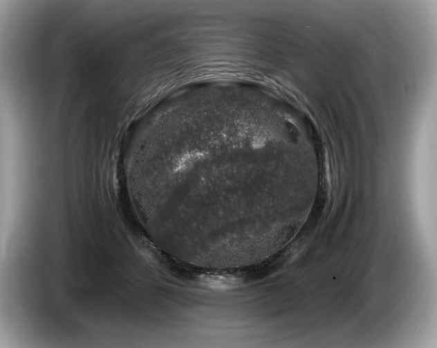 X0000087560512200704271228