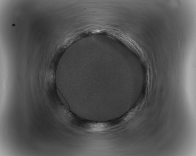 X0000087560513200704271228