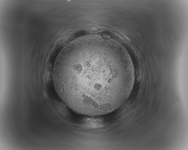 X0000087560515200704271228